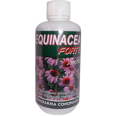 EQUINACEA FORTE JARABE 280ML, Foto 1 Mayoreo Naturista