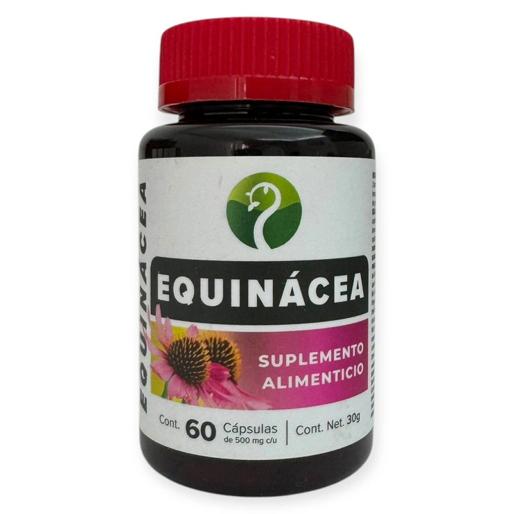 Equinácea 60 cápsulas 500mg, Foto 1 Mayoreo Naturista